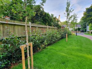 Fencing Types